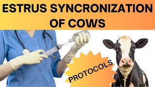 How Estrus Synchronization Can Supercharge Your Cattle Herd Uncover the Benefits Now [upl. by Rainie]