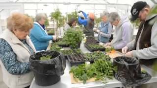 New greenhouse at Harkness [upl. by Swee279]