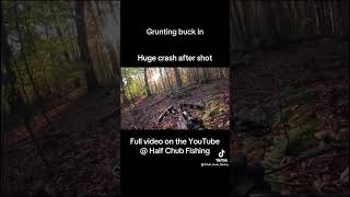 Volume Up whitetails deerhunting archery adventure bigwoods [upl. by Mitchel]