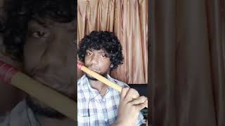 old malayalam song  poykayil kulir poykayil flute [upl. by Kandy]