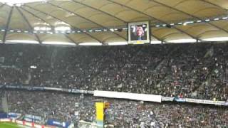 Hamburg meine Perle HSV  BVB [upl. by Tamer]