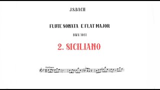 JS Bach SICILIANO from Flute Sonata in E flat MajorBWV 1031accompaniment [upl. by Assetniuq]