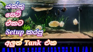 NEW Oscar fish Tank setup yanifishparadise oscar Tanksetup [upl. by Prader]