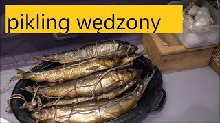 Jak Wędzić Ryby🐟  śledź Wędzony PIKLING [upl. by Nhtanhoj825]