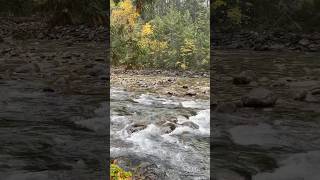 Kaslo britishcolumbia kootenays nature [upl. by Brose865]