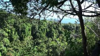 Haleakala National Park  Pipiwai Trail to Waimoku Waterfalls [upl. by Yerfej]