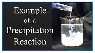 Example of a Precipitation Reaction [upl. by Mortensen]