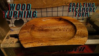 Wood Turning Experimenting with Spalted Sycamore Form June 2023 [upl. by Eislrahc384]