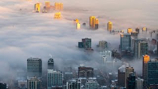 What is smog and how does it affect the environment  causes effects precautions [upl. by Lrak922]