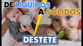 DESTETE  Alimentación Complementaria 🍽️👶 PASOS para un Destete Respetuoso [upl. by Druce]