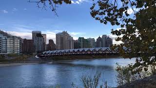 Calgary Downtown Peace Bridge  Canada [upl. by Gwenore]