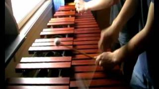 Zelda Links Awakening  Tal Tal Heights on Marimba [upl. by Kotto930]