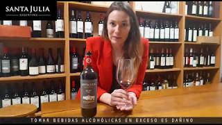 Santa Julia Reserva Malbec  Nota de Cata [upl. by Ilecara]