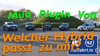 Welcher Hybrid passt zu mir Wie unterscheiden sich Mildhybrid PluginHybrid und Vollhybrid [upl. by Nove386]