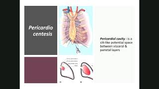 Pericardium CVS 9 [upl. by Scuram671]