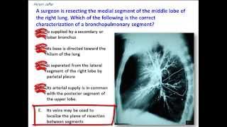 What are the characteristics of a bronchopulmonary segment [upl. by Corinne]