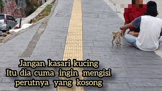 bikin sedih kucing ini cuma berharap makan [upl. by Teiv]