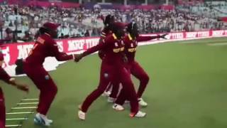 Dj bravo champion song with 2016 best westindies moments [upl. by Scheld]