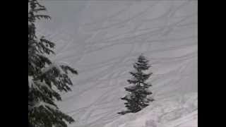 Small Avalanche at Mt Baker [upl. by Merna]