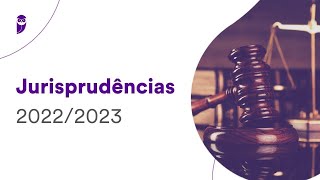 Jurisprudências 20222023 Direito Previdenciário  Prof Rubens Mauricio [upl. by Hayifas740]