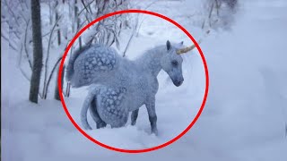 5 Unicorns Caught On Camera ♦️ Real Life Unicorns [upl. by Spragens245]