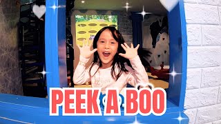 PEEK A BOO  nursery rhymes amp kids songs [upl. by Flynn]