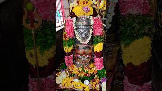 Maremma thalli 🙏 bangalore durgamaa laxmi devi  Lakshmidevi stotram  laxmi mantra ytshorts [upl. by Anihsak]