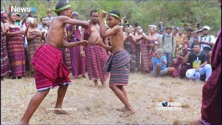 Hadok Tinju Ala Lembata yang Dimainkan Petarung Cilik amp Dewasa Part 01  Geopark Indonesia 1512 [upl. by Mchugh]