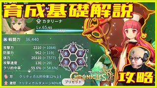 【サマナクロ】育成とルーン分析の解説【サマナーズウォークロニクル】 ゲーム実況 ゲーム [upl. by Bindman873]