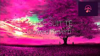 Chite Suit Te  Geeta Zaildar  Punjabi song  SlowedReverb [upl. by Oicangi514]