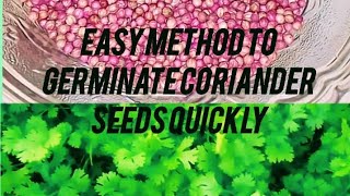 Easy Method To Germinate Coriander seeds Quickly ধনে বীজ দ্রুত অঙ্কুরিত করার সহজ পদ্ধতিvloggarden [upl. by Eniluqaj]