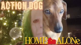 ACTION DOG Skit Home Alone [upl. by Fillender]