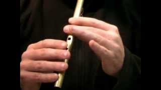 Eddie Kellys Jig 1 Faster  Tin Whistle Tutorial  Tradschool [upl. by Egni]