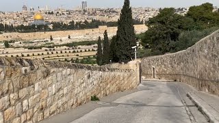 Recorriendo el lugar por donde Jesús entró a Jerusalén el Domingo de Ramos [upl. by Ykcaj]