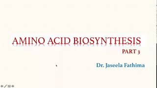 Amino acid Biosynthesis Part 2 [upl. by Hansel]