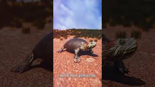 LA TORTUGA HACE ESTO sabiasque arcade sabias humor shorts CREDITOS ZACK D FILMS [upl. by Nivag]