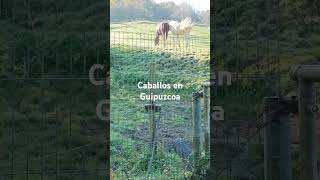 Caballos en Guipuzcoa [upl. by Scheider]