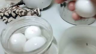 How to make salty egg [upl. by Charbonnier]