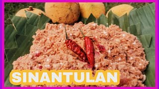 GAWIN MO ITO SA SANTOL MASARAP SINANTULAN NI MOMSHIE [upl. by Bonni]