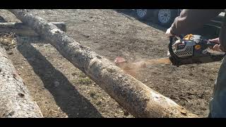 Chainsaw log debarker from HudSon Forest Equipment mechanical log peeling [upl. by Ahtelra]