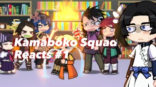 Kamaboko squad react to my Fyp 1 Phxtographer [upl. by Mildrid]