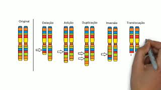 Alterações cromossômicas humanas  quotE aí vamos resolver juntos [upl. by Corby]