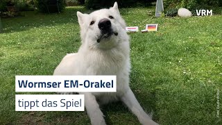 Wormser EMOrakel tippen zweites DeutschlandSpiel [upl. by Infeld625]