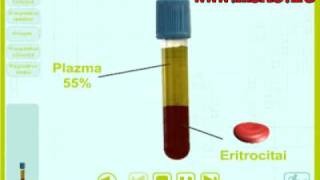 Kraujo sudetis IX klasei zmogaus biologijos I dalis [upl. by Amoihc]