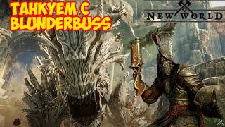 New world Горгон 1 босс танчил с Blunderbuss  New world Gorgon first boss tanked with Blunderbuss [upl. by Torrin]