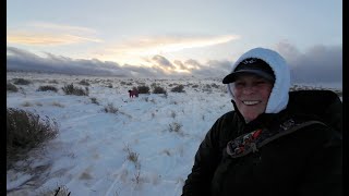 High Wind Winter Snow Camping Central Oregons High Desert With Dog In A Tent [upl. by Heidie]