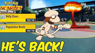 Smeargle MORE OP Than Before  INSANE OP Smeargle Sweep  Pokemon Scarlet And Violet [upl. by Lilhak790]