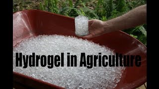 Hydrogel in Farming  Less Water Farming  Waterless Agriculture  कम पानी में खेती  Review  2019 [upl. by Yllek]