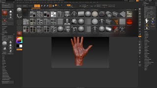 Getting Started with ZBrush Part 8  Starting a New Project [upl. by Gosnell]