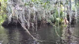 A canoe journey down a peaceful wild river canoe wilderness nature adventure [upl. by Moia]